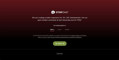 stripchat leak|Sex cam site Stripchat exposes user, model info on the web: report